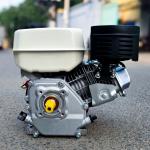 Máy nổ 6.5 hp cốt thẳng BGA200Q
