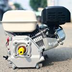 Máy nổ 6.5 hp cốt thẳng BGA200Q