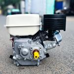 Máy nổ 6.5 hp cốt xéo BGA200QH