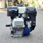 Máy nổ 8.5 hp có đề T236C