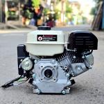Máy nổ 8.5 hp có đề T236C